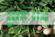 云南的瑤族：分布、自治縣及文字，屬于何種瑤？