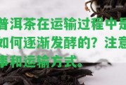 普洱茶在運(yùn)輸期間是怎樣逐漸發(fā)酵的？留意事和運(yùn)輸方法。