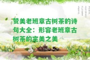 贊美老班章古樹茶的詩句大全：形容老班章古樹茶的完美之美