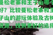 曼松老寨和王子山哪個(gè)好？比較曼松老寨和王子山的游玩體驗(yàn)及古樹(shù)資源，找到更好的選擇！