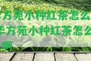 華方苑小種紅茶怎么樣 華方苑小種紅茶怎么樣啊