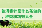 普洱香針是什么茶做的，種類和功效大全