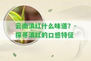 云南滇紅什么味道？-探尋滇紅的口感特征