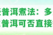 鐵壺普洱煮法：多久煮？生普洱可否直接煮？