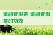 紫鵑普洱茶-紫鵑普洱茶的功效