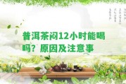 普洱茶悶12小時能喝嗎？起因及留意事