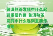 普洱熟茶發(fā)酵中什么起到關(guān)鍵作用 普洱熟茶發(fā)酵中什么起到關(guān)鍵作用呢