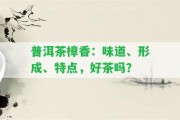 普洱茶樟香：味道、形成、特點(diǎn)，好茶嗎？