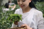 最細(xì)致的泡茶、敬茶、存茶技巧 不容錯過！