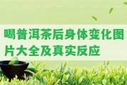 喝普洱茶后身體變化圖片大全及真實(shí)反應(yīng)