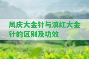 鳳慶大金針與滇紅大金針的區(qū)別及功效