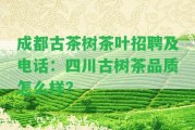 成都古茶樹茶葉招聘及電話：四川古樹茶品質(zhì)怎么樣？