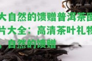 大自然的饋贈普洱茶圖片大全：高清茶葉禮物，自然的饋贈