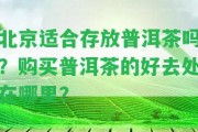 北京適合存放普洱茶嗎？購(gòu)買(mǎi)普洱茶的好去處在哪里？