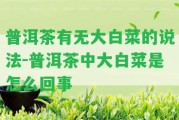 普洱茶有無大白菜的說法-普洱茶中大白菜是怎么回事