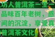 江坊人普洱茶一生一熟：品味百年老樹，感受時(shí)間的沉淀，享受真正的普洱茶文化。