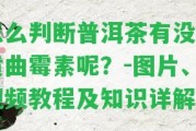 怎么判斷普洱茶有不存在黃曲霉素呢？-圖片、視頻教程及知識(shí)詳解