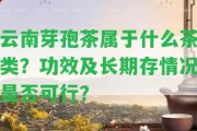 云南芽孢茶屬于什么茶類？功效及長期存情況是不是可行？