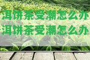 普洱餅茶受潮怎么辦「普洱餅茶受潮怎么辦呢」