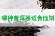 哪種普洱茶適合壓餅