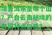 秘境普洱茶是哪個(gè)山頭的？產(chǎn)自云南秘境的茶葉有何特點(diǎn)口感？