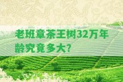 老班章茶王樹32萬年齡究竟多大？