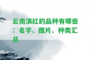 云南滇紅的品種有哪些：名字、圖片、種類匯總