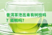 普洱茶泡出來有樹枝嗎？能喝嗎？