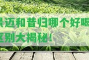 景邁和昔歸哪個好喝？區(qū)別大揭秘！