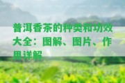 普洱香茶的種類和功效大全：圖解、圖片、作用詳解