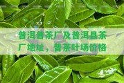 普洱普茶廠及普洱縣茶廠地址，普茶葉場價格