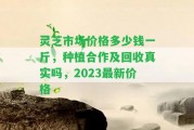 靈芝市場價格多少錢一斤，種植合作及回收真實嗎，2023最新價格