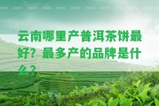 云南哪里產(chǎn)普洱茶餅最好？最多產(chǎn)的品牌是什么？