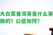 大白菜普洱茶是什么茶做的？口感怎樣？