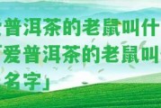 愛普洱茶的老鼠叫什么「愛普洱茶的老鼠叫什么名字」