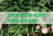 云科所普洱茶-科技農(nóng)科院價格怎么樣？