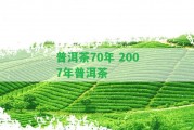 普洱茶70年 2007年普洱茶