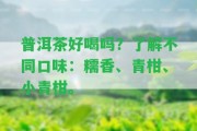 普洱茶好喝嗎？熟悉不同口味：糯香、青柑、小青柑。