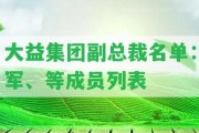 大益集團(tuán)副總裁名單：軍、等成員列表