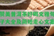 贊美普洱茶好喝文雅句子大全及簡短走心文案