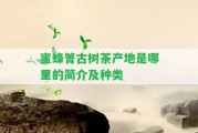 蜜蜂箐古樹茶產(chǎn)地是哪里的簡(jiǎn)介及種類