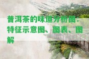 普洱茶的味道分析圖：特征示意圖、圖表、圖解