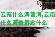 云南什么海普洱,云南什么海普洱念什么