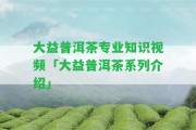 大益普洱茶專業(yè)知識視頻「大益普洱茶系列介紹」