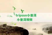 tripsun小普洱 小普洱視頻