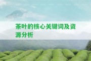 茶葉的核心關(guān)鍵詞及資源分析