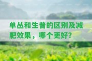 單叢和生普的區(qū)別及減肥效果，哪個更好？