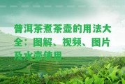 普洱茶煮茶壺的用法大全：圖解、視頻、圖片及水壺采用