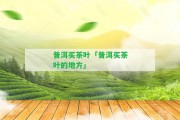 普洱買(mǎi)茶葉「普洱買(mǎi)茶葉的地方」