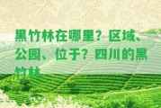 黑竹林在哪里？區(qū)域、公園、位于？四川的黑竹林。